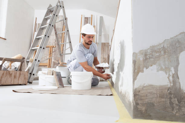 Best Commercial Mold Inspection  in London, KY