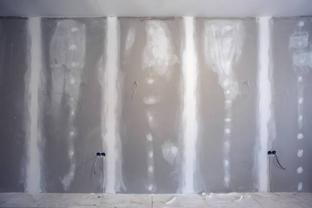 Best Post-Construction Mold Inspection  in London, KY